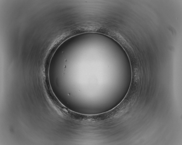 X0000113150634200909041234