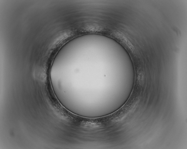 X0000113150635200909041234