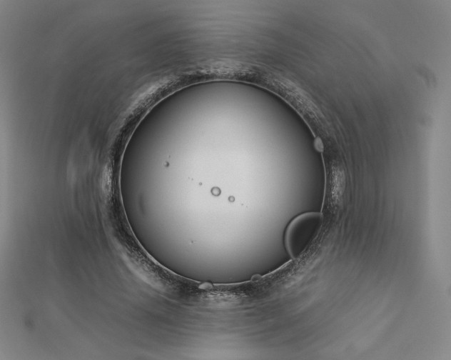 X0000113150636200909041234