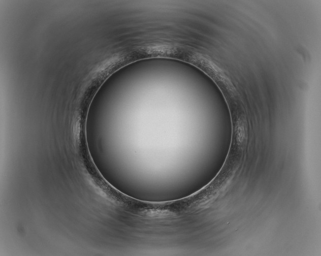 X0000113150637200909041234