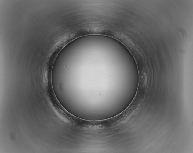 X0000113150638200909041234