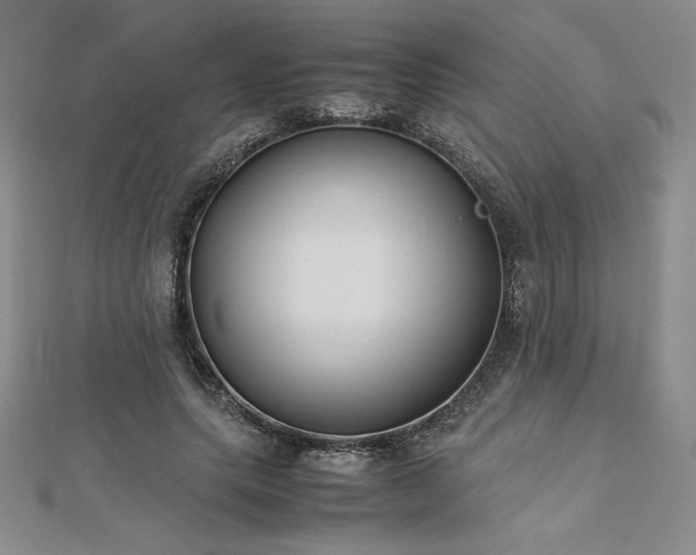 X0000113150639200909041234