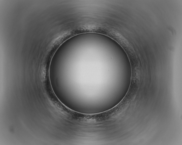 X0000113150640200909041234