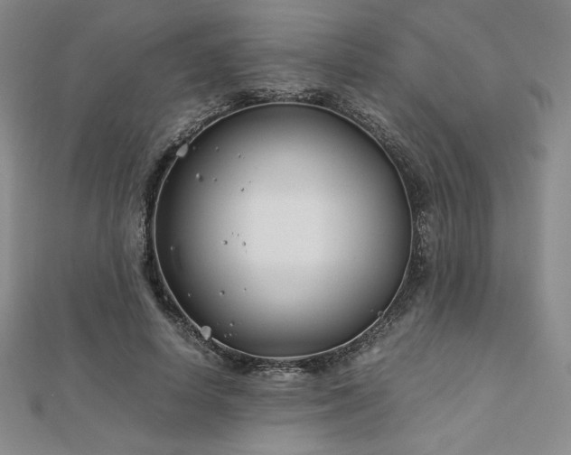 X0000113150642200909041234