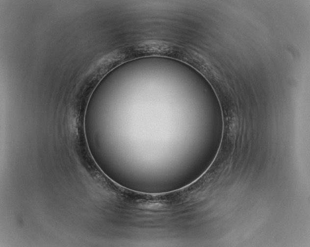 X0000113150643200909041234