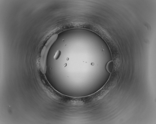 X0000113150644200909041234