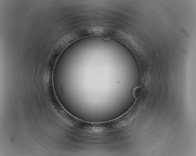 X0000113150645200909041234