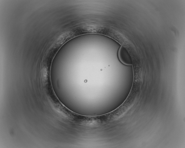 X0000113150646200909041234