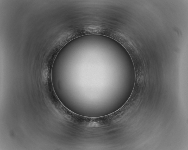 X0000113150647200909041234