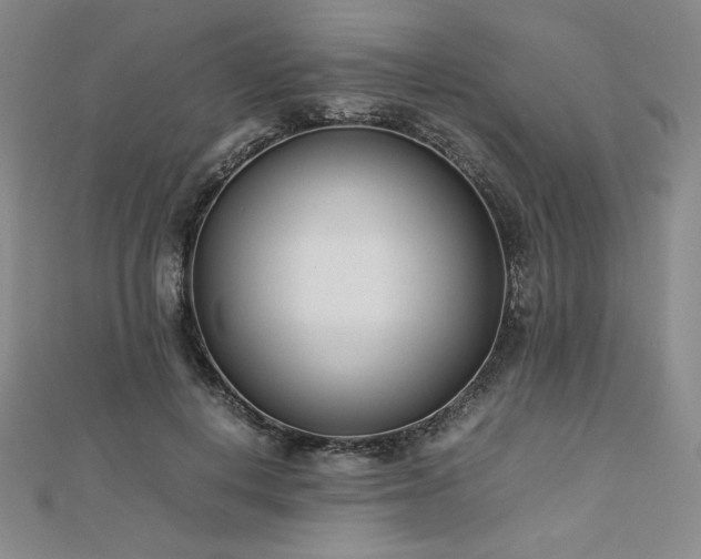 X0000113150648200909041234