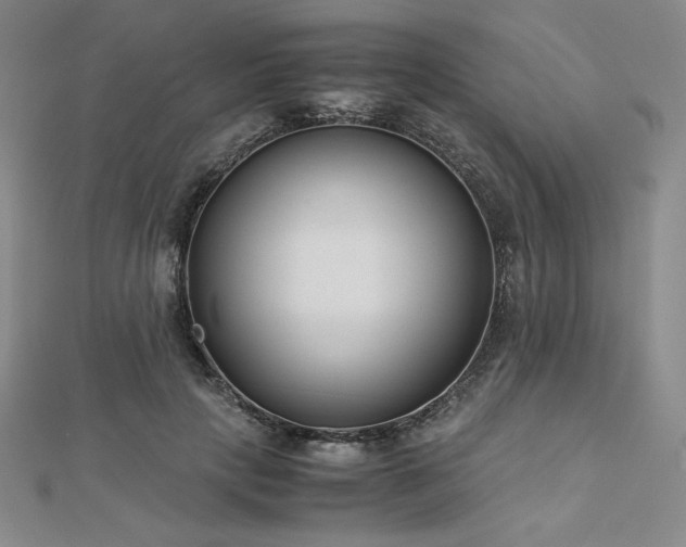 X0000113150649200909041234