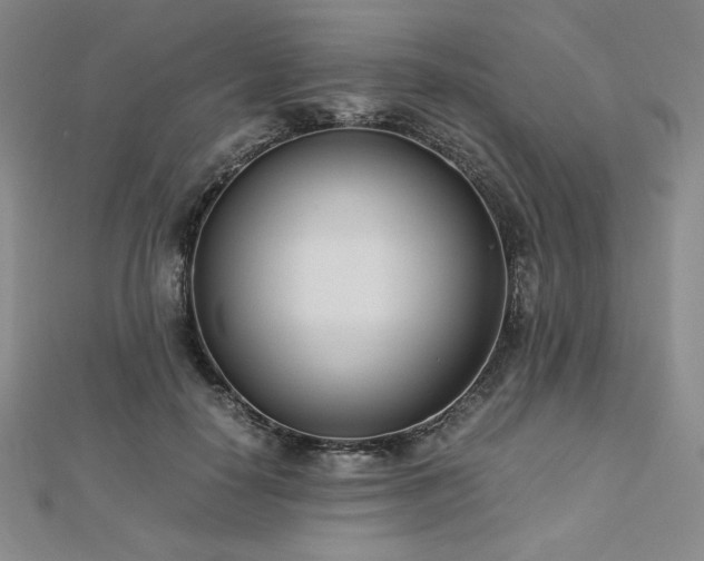 X0000113150650200909041234