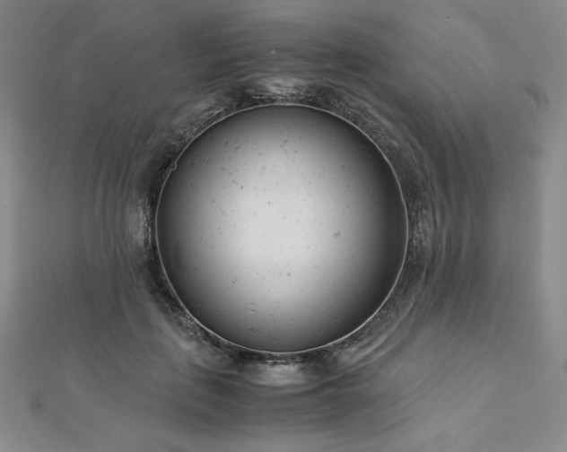 X0000113150651200909041234