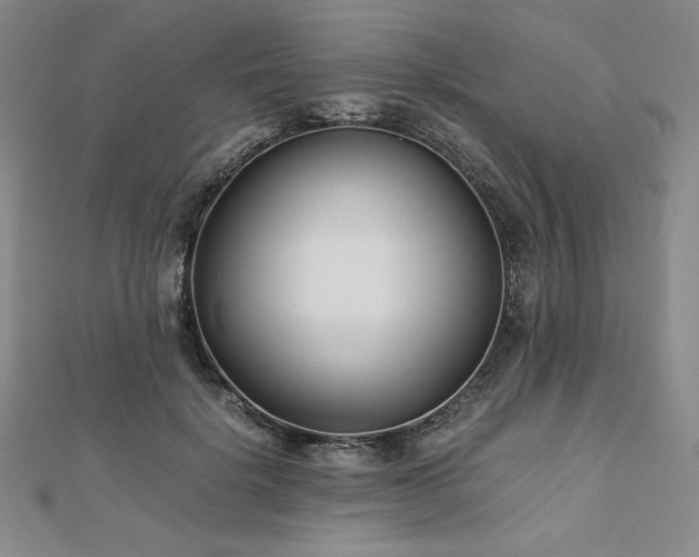 X0000113150652200909041234