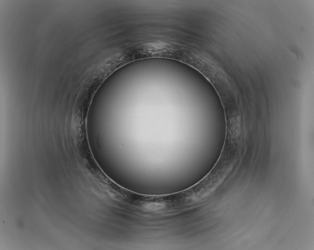 X0000113150653200909041234