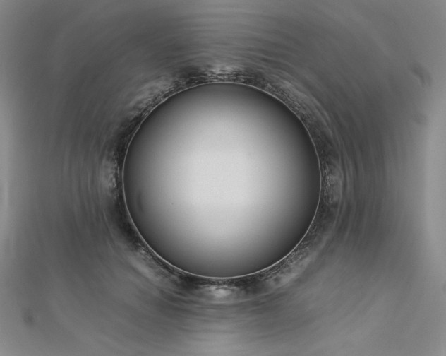 X0000113150654200909041234