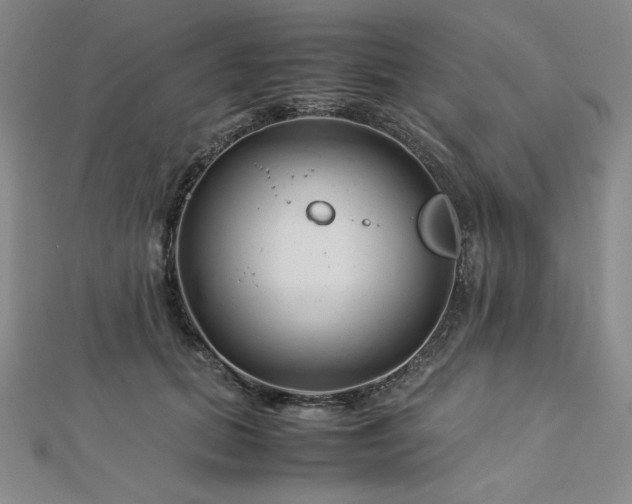 X0000113150655200909041234