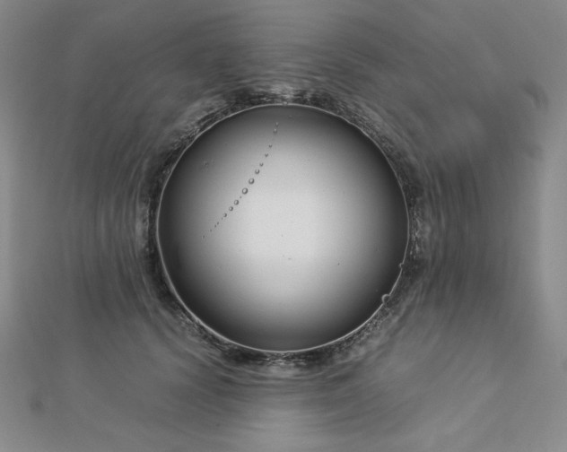 X0000113150656200909041234