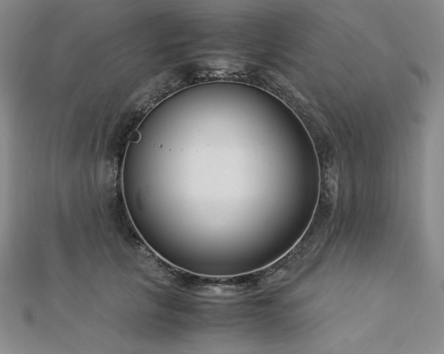 X0000113150657200909041234