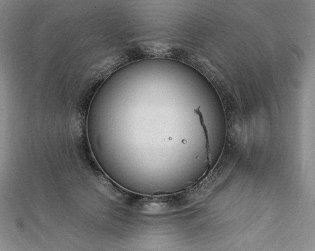 X0000113150658200909041234