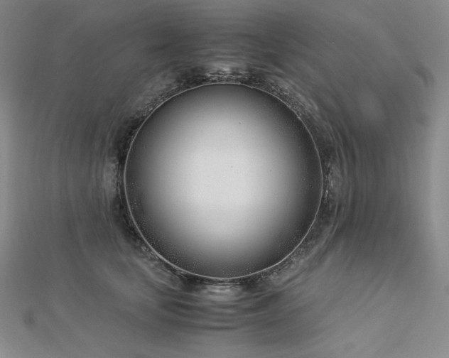 X0000113150659200909041234