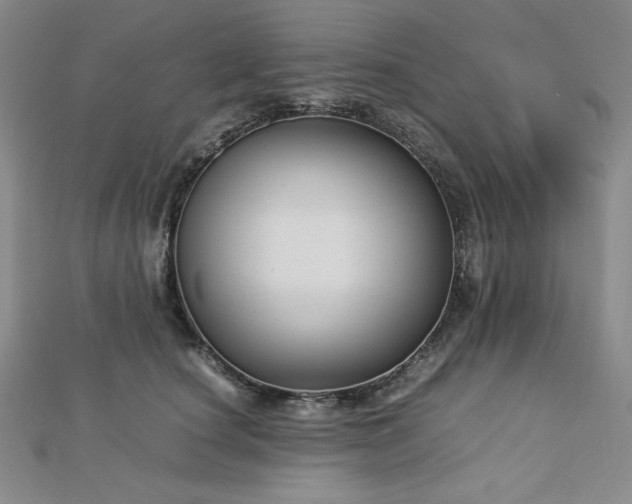 X0000113150660200909041234