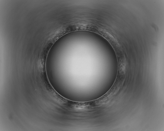 X0000113150661200909041234