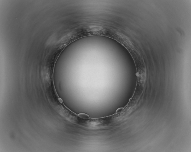 X0000113150662200909041234