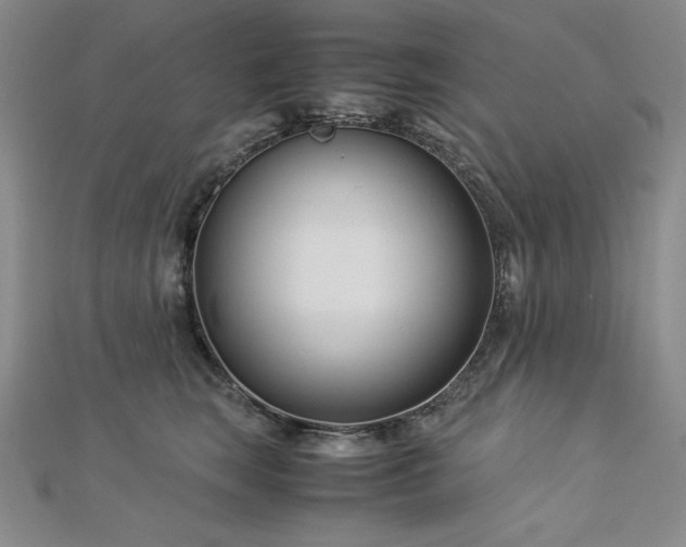 X0000113150663200909041234