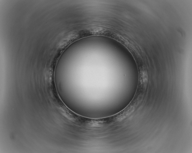 X0000113150664200909041234