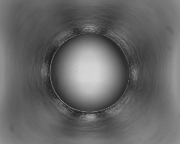 X0000113150665200909041234