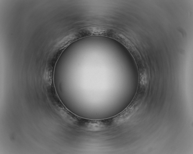 X0000113150666200909041234