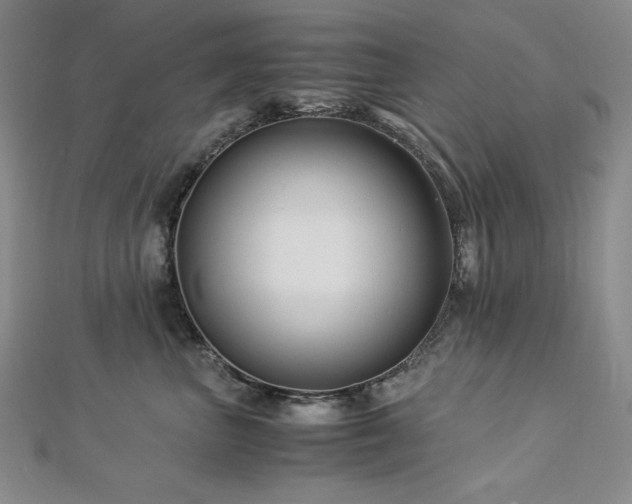 X0000113150667200909041234