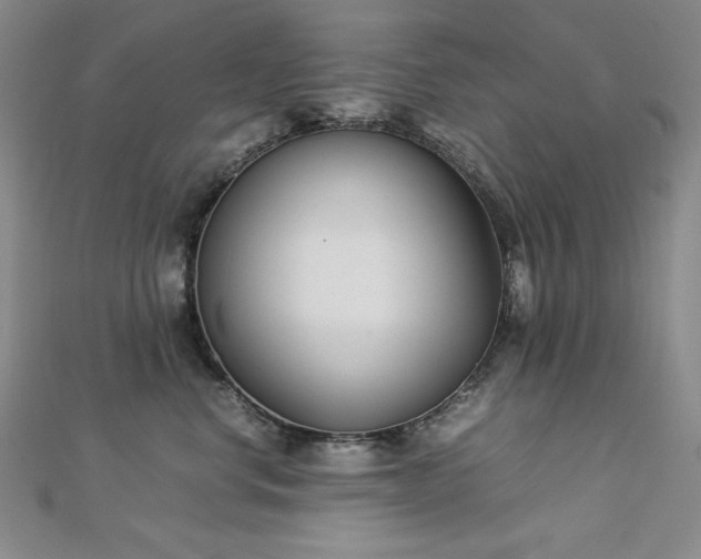 X0000113150668200909041234