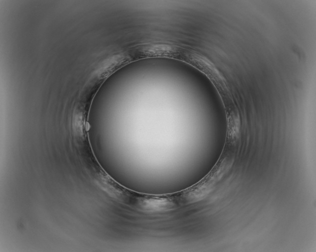 X0000113150669200909041234