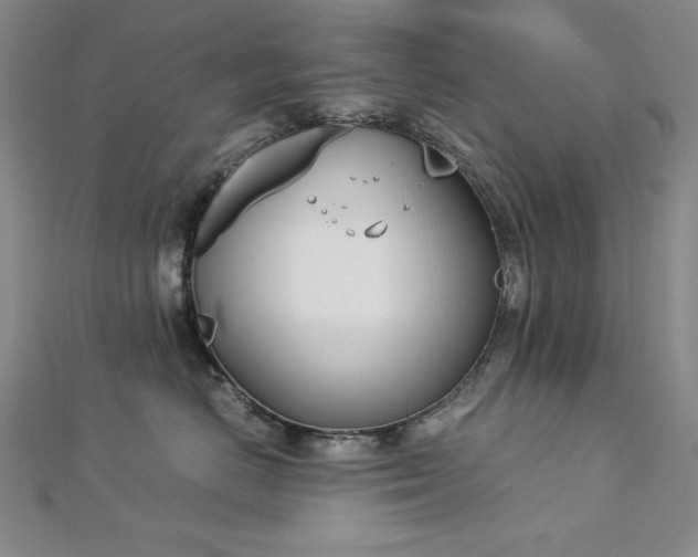 X0000113150670200909041234