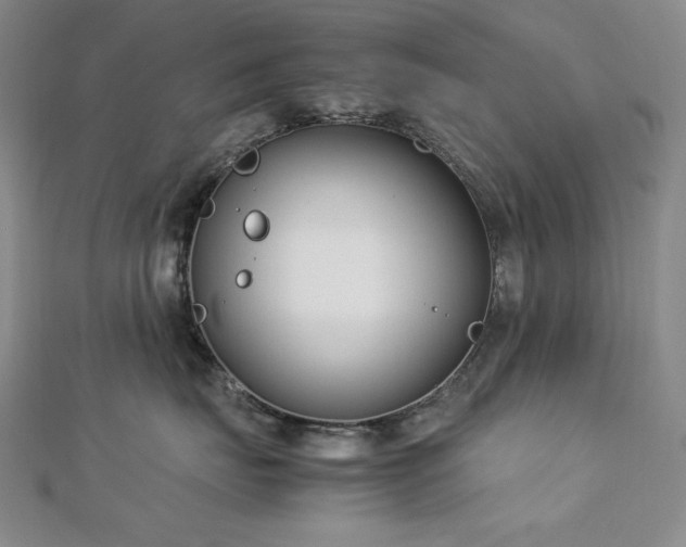 X0000113150671200909041234