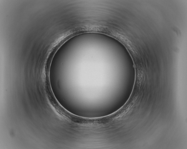 X0000113150674200909041234