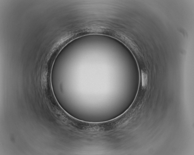 X0000113150675200909041234