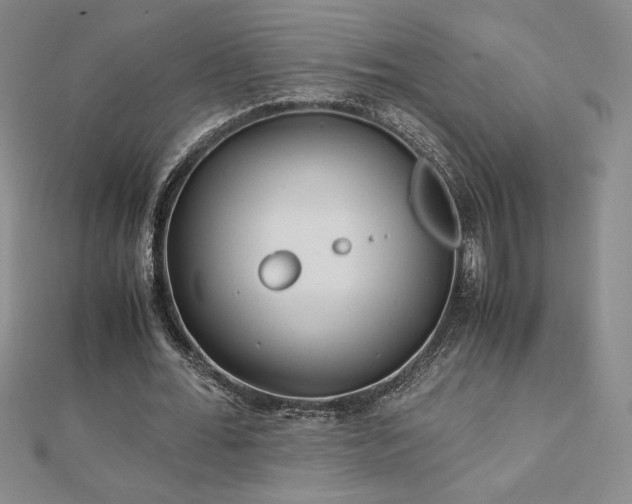 X0000113150676200909041234