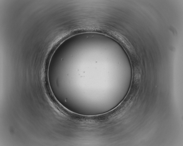 X0000113150677200909041234