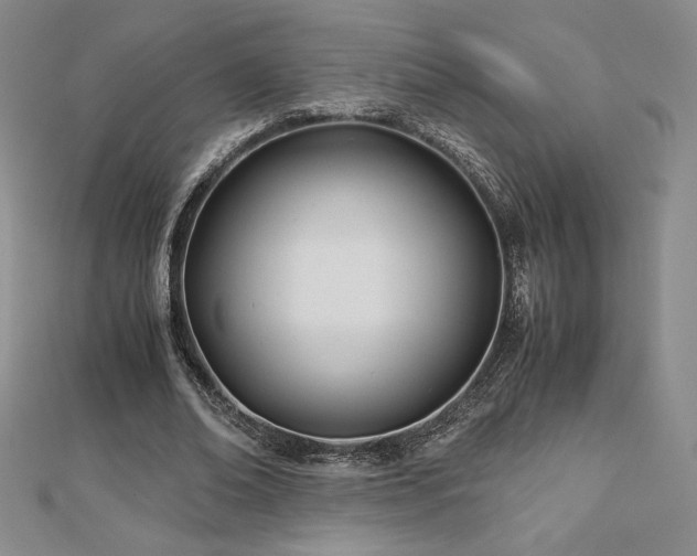 X0000113150678200909041234