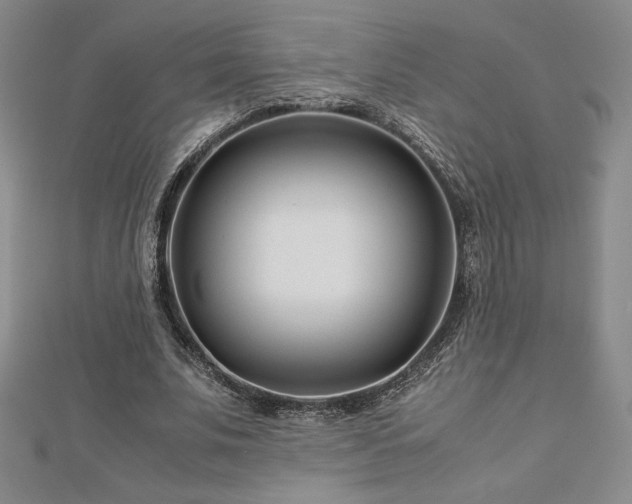 X0000113150679200909041234