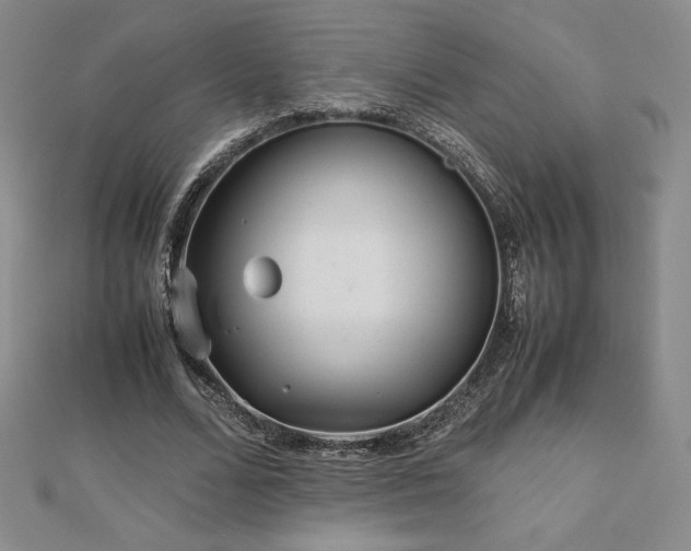 X0000113150680200909041234