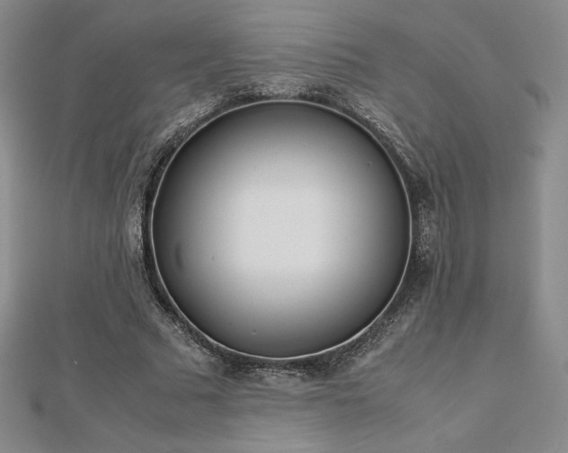 X0000113150681200909041234