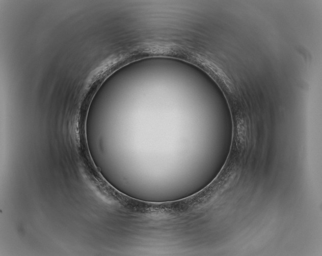 X0000113150682200909041234