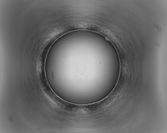 X0000113150683200909041234