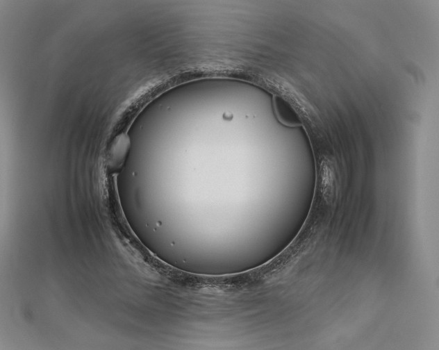 X0000113150684200909041234