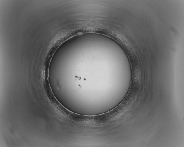 X0000113150685200909041234