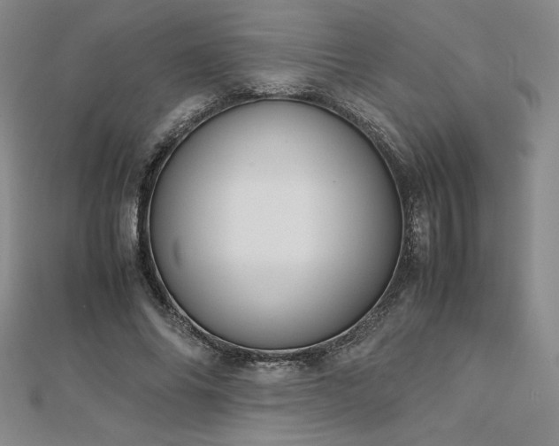 X0000113150686200909041234